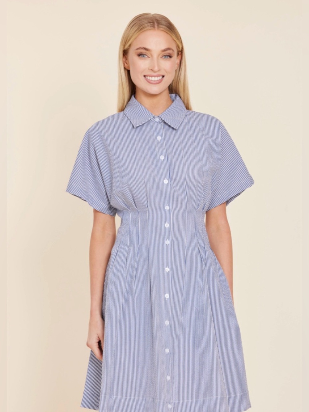 New Blue and White Pinstripe Button-Front Shirt Dress